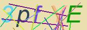 Party captcha