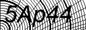Spider Web captcha